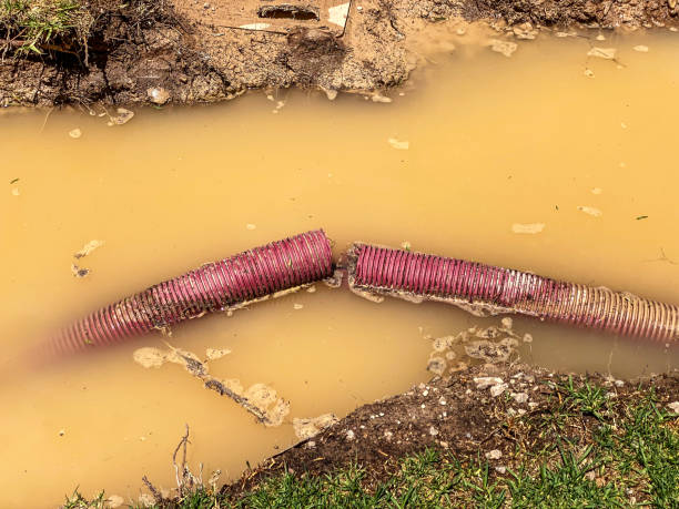 Water damage restoration mold remediation in Iola, KS